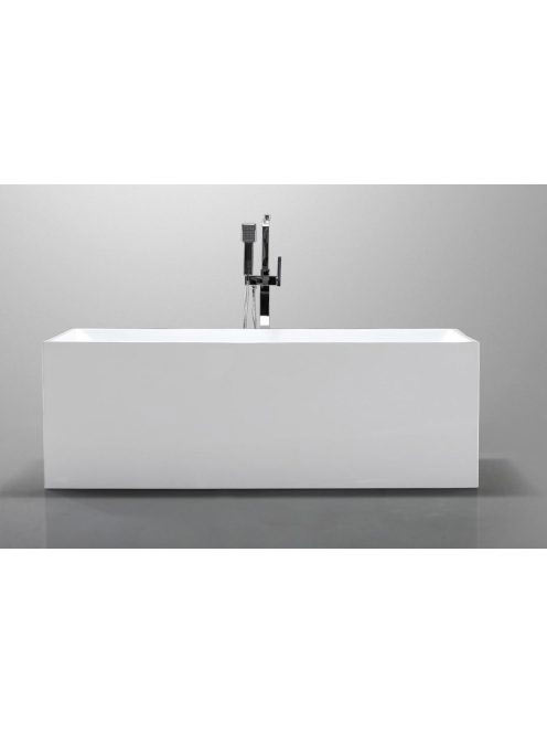 Wellis Flavia szabadon álló kád 170x80 cm WK00135 - Fürdőszo