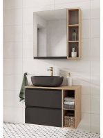 CES-K1161081