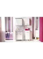 CES-S543009DSM1