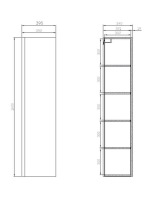 CES-S590019DSM2