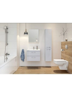 CES-S801317DSM2