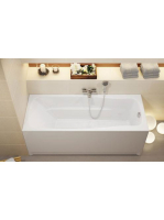 CES-s3011603