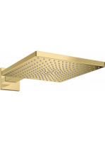 Hansgrohe Raindance E 300 1jet polírozott arany hatású fejzu