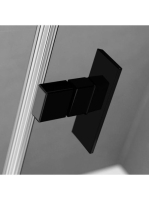 RW-100261005455L2