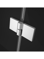 RW-100991300101L2