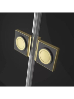 RW-101021300901L1