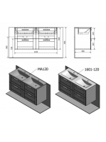 SP-AM12020201